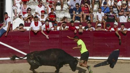 La plaza de toros, espacio de esparcimiento canino