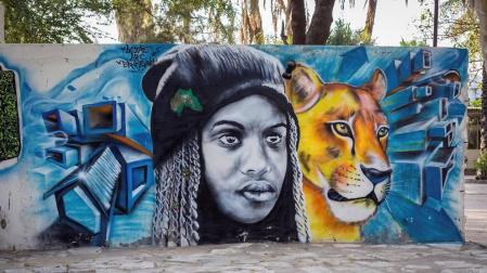 Los artistas decoran los muros de la capital senegalesa en la décima edición del festival de arte urbano