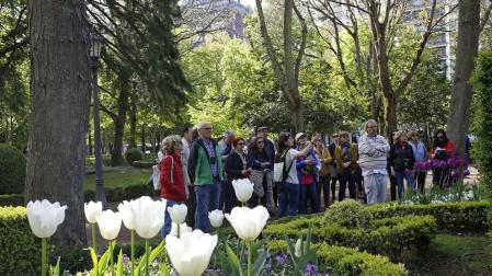 Un viaje por las flores de la Taconera