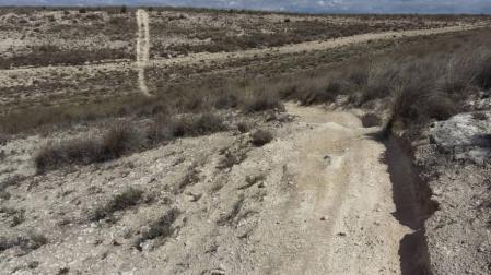 Ecologistas denuncian la "destrucción" del ZEC de Ablitas por motocross