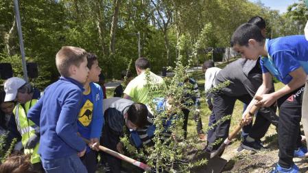 Escolares pamploneses plantan árboles en el Parque fluvial