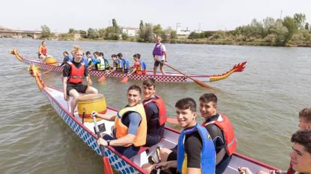 Tudela se sumó este martes, 7 d emayo, a la moda del Dragon Boat, un deporte que se practica con canoas decoradas con cabezas de dragón.