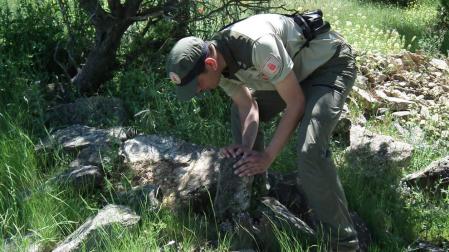 El Gobierno de Navarra promete mejorar la seguridad de los guardas forestales