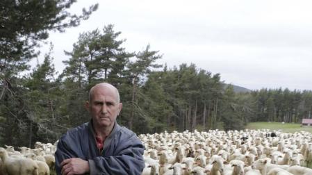 Una semana de miedo en Uztárroz con la osa Claverina
