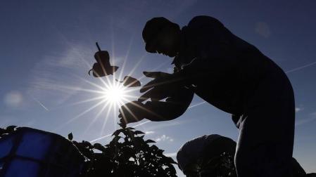 Semana con buen tiempo y temperaturas altas