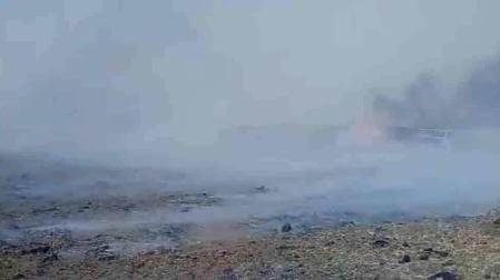 Daños en el ganado en el fuego de una pajera en Tudela