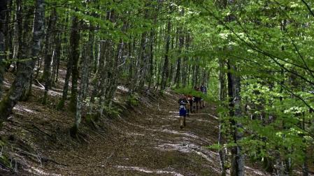 Galería de imágenes de la carrera en la que han participado 125 corredores en la carrera corta, sobre 13 kms, y 250 en el recorrido largo de 23 kms.
