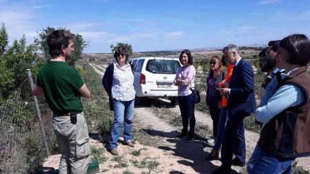 La directora general de Medio Ambiente, autoridades y personal técnico visitan una zona objeto de actuación en Ribaforada