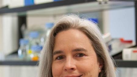 La insuficiencia cardíaca crónica será protagonista en el 'Pint of Science' de Pamplona