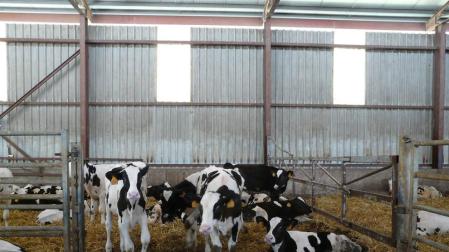 La visita a Lacturale de un grupo de personas sordociegas