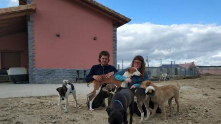 Adopciones de perros dentro y fuera de España desde Andosilla