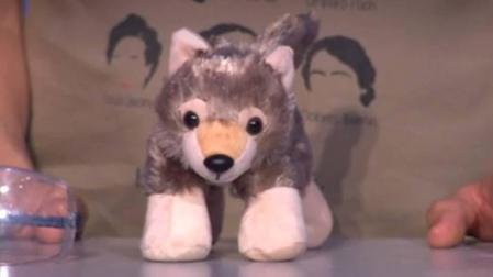 'Los Lobos' reciben un regalo del 'señor del sombrero' de '¡Ahora caigo!'