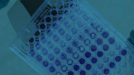 Ojer Pharma está especializada en el desarrollo de productos farmacéuticos innovadores en el área de dermatología