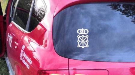 Cernícalo envenenado encontrado por la Policía Foral