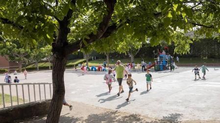 Alumnado del CP Griseras de Tudela durante una jornada de clase.