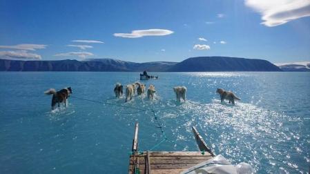Perros tirando de un trineo sobre la superficie derretida del hielo marino en el oeste de Groenlandia.