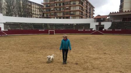 La plaza de toros de Estella vive su primer día convertida en pipican