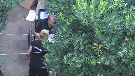 Los Mossos d'Esquadra encuentran un cadáver en casa del detenido en Terrassa