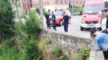 Rescatado tras caerse del puente de Santa Engracia en Pamplona