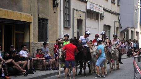 Fotos de la Undécima carrera sobre burros de Tafalla