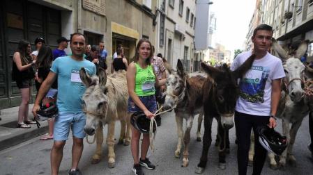 Fotos de la Undécima carrera sobre burros de Tafalla
