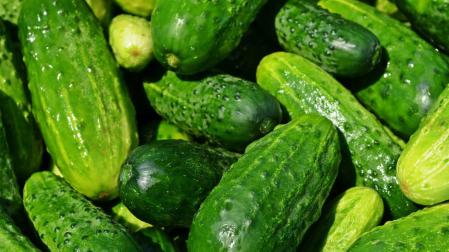 Una empresa de Granada vendía como "bio" toneladas de pepino convencional