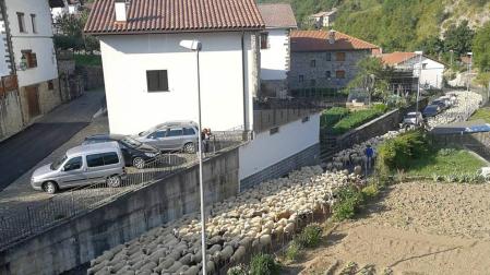 Pastores a 18.000 euros por el oso