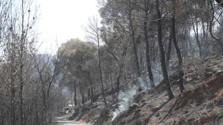 El incendio de Tarragona está "perimetrado y camino de estabilizarse"
