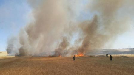 Activos dos incendios en Olite y Murillo el Cuende