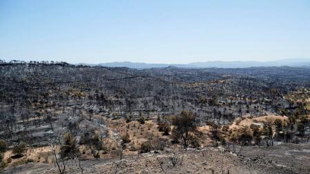 Controlado el fuego de Toledo, casi el de Tarragona y aún sigue activo el de Madrid