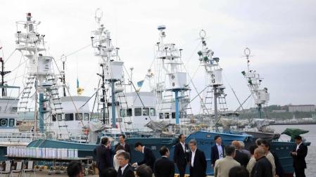 Japón retoma la caza comercial de ballenas después de 30 años