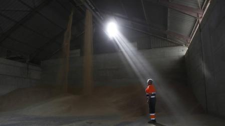 Agroseguro ha tasado cerca de 20.000 ha con daños por sequía