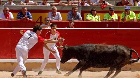 Recortes y anillas en la plaza de toros