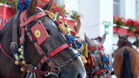 Fotos de la corrida con toros de la ganadería de José Escolar para los diestros Fernando Robleño, Javier Castaño y Pepe Moral