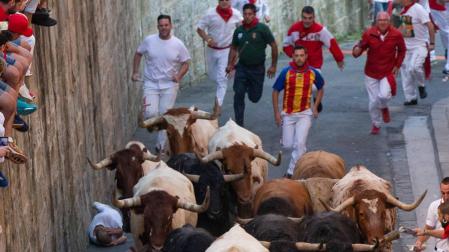 La rebelión de los mansos