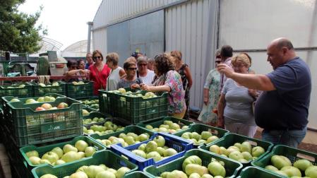 Cortes promociona su tomate rosa