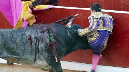El torero ha sido atendido en la enfermería de la plaza de "una cornada envainada en el hemitórax izquierdo y múltiples fracturas costales"