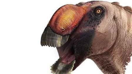 Identificada una extraña nueva especie de dinosaurio con pico de pato