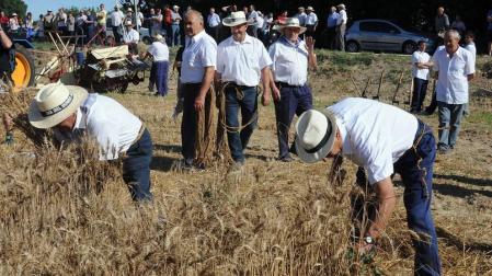 El 22 de julio las antiguas labores del campo volvieron a la vida durante la XIX Fiesta del mundo rural celebrada en Miranda de Arga. Vecinos y visitantes disfrutaron recordando o aprendiendo cómo se hacía la siega a mano o cómo se labraba con layas, además de ver en funcionamiento maquinaria antigua o trabajos con caballerías o bueyes.