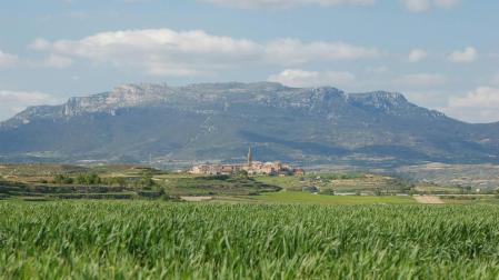 Briones, donde yace la perfección.