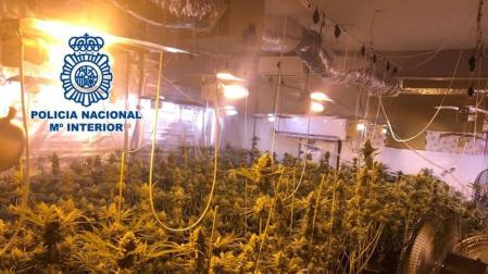 Dimite el teniente alcalde de El Valle (Granada) tras ser detenido por cultivar marihuana