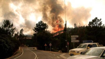 Las llamas superaron un perímetro de 50 kilómetros y unos 800 efectivos participaron en las labores de extinción del fuego.
