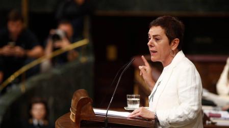 Bildu se abstendrá en la investidura de Sánchez, de quien "desconfía"