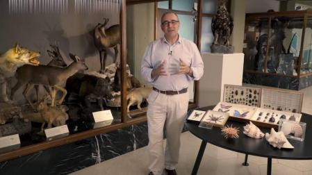 El Museo de Ciencias de la UN lanza la colección de vídeos 'Los microbios en el Museo'