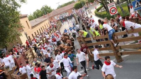 Una manada compacta protagoniza el segundo encierro de fiestas de Tudela