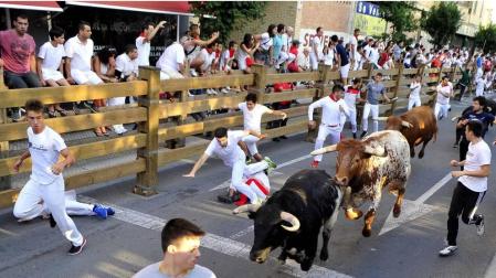 Todas las fotos del encierro del día 25 de fiestas de Tudela 2019
