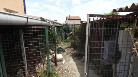 Imagen del lugar donde fueron encontrados los cadáveres de los perros.