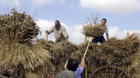 Día de la Trilla en Salinas de Ibargoiti