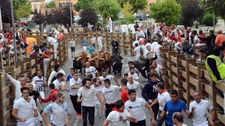 Los astados de la ganadería riojana de Toropasión completaron en grupo una carrera rápida y limpia