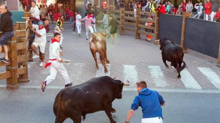 Todas las fotos del cuarto encierro de fiestas de Tudela 2019